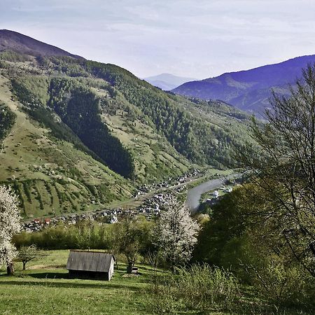 Dream Hostel Carpathians Рахов Экстерьер фото